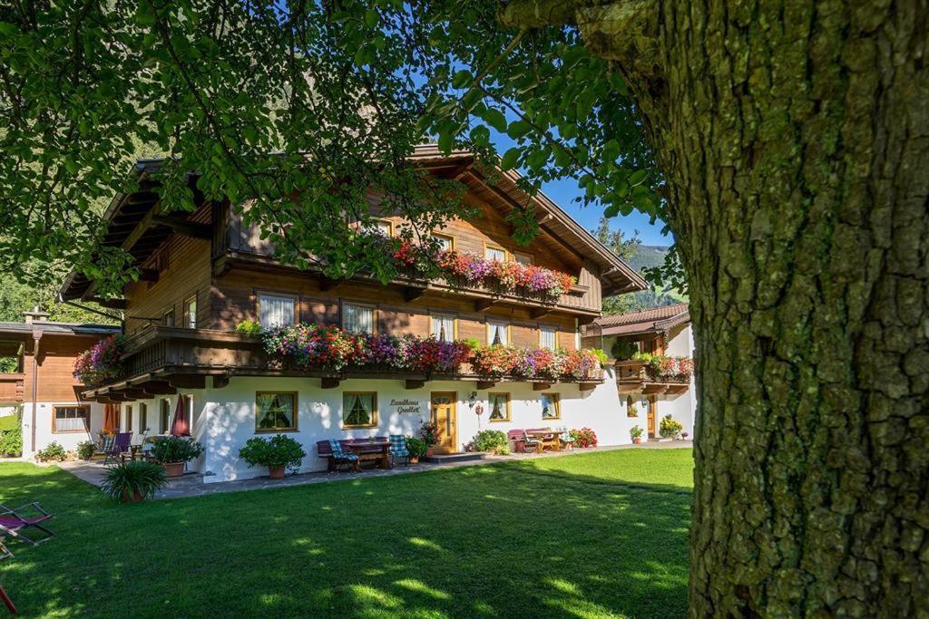 Landhaus Gredler Mayrhofen Eksteriør billede